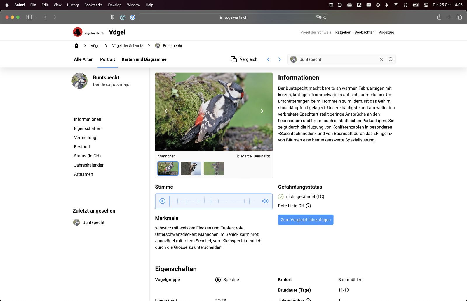 Detailseite Desktop (neu)