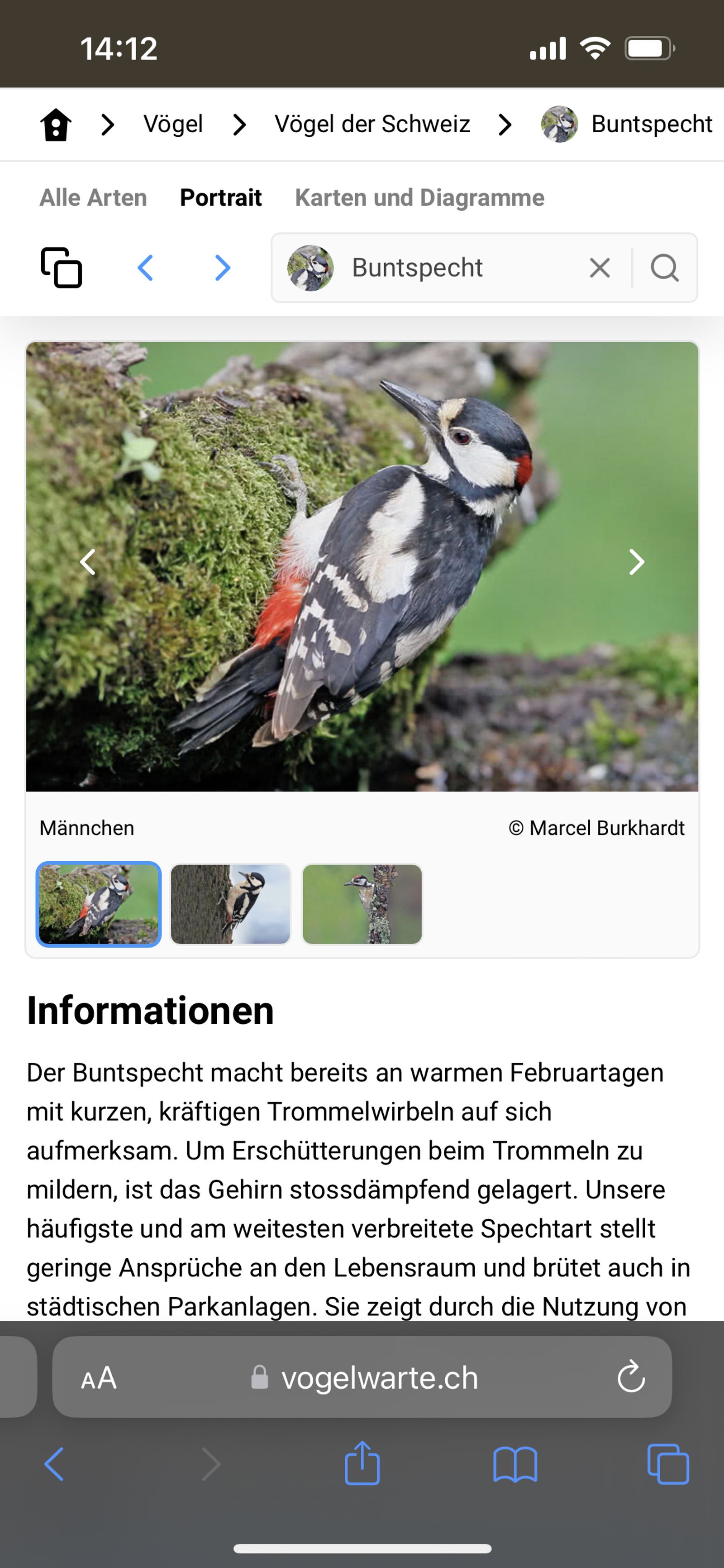 Detailseite Mobile (neu)