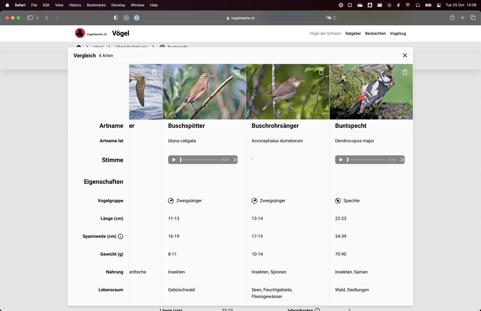 Vergleich Desktop (neu)